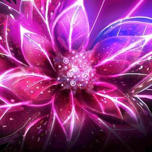 Meet your Posher, Rosa